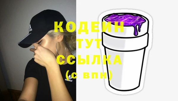 прущие грибы Волоколамск