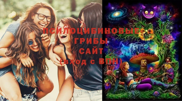 прущие крисы Горнозаводск