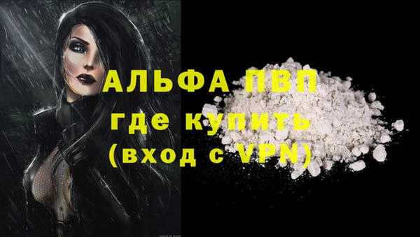 прущие грибы Волоколамск