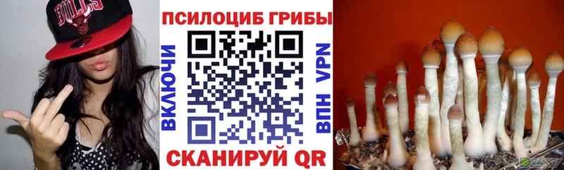 что такое наркотик  Ейск  Псилоцибиновые грибы мицелий 